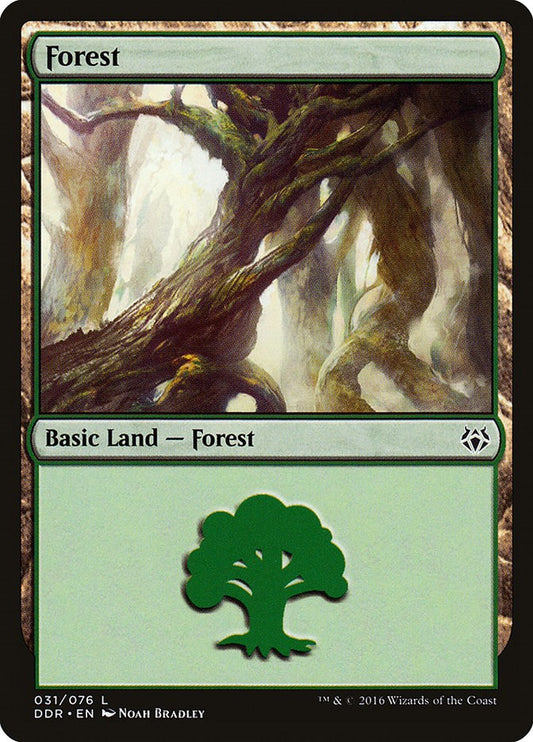 Forest (031)